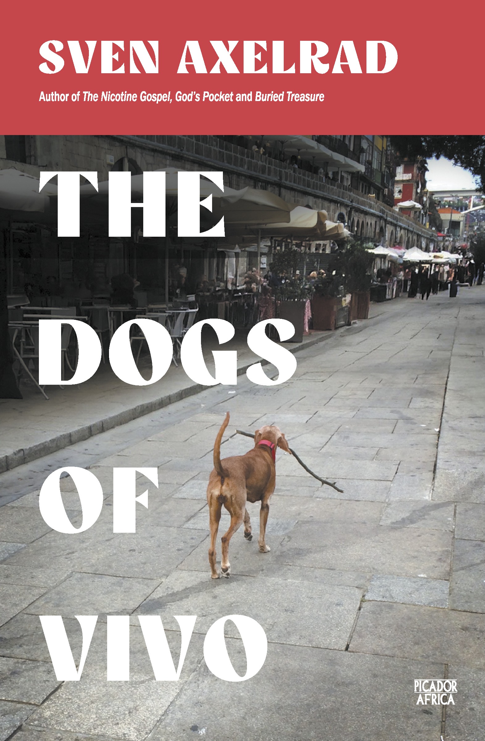 The Dogs of Vivo - final 300dpi of the front cover